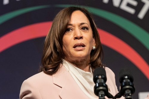 Kamala Harris Skewered Over Thanksgiving Photo With Gas Stove